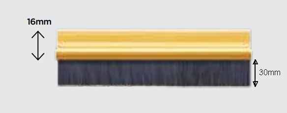 EXITEX Brush Excluder 30mm Brush 914mm (36) Gold