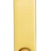 CARLISLE BRASS AA79 Flush Bolt (sunk) 102x15mm Polished Brass (EACH)