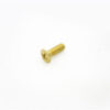 SALTO SP00212-50 Comfort Inner Cover Plate Screws Brass (EACH)