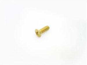 SALTO SP00212-50 Comfort Inner Cover Plate Screws Brass (EACH)