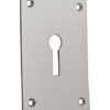 Escutcheon Key Screw Fix 47x65 SSS (PAIR)