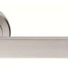 Concept Lever On Rose Concealed Fixing SCP (Per PAIR)