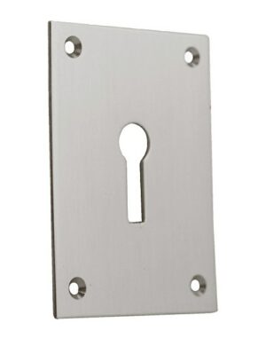 Escutcheon Key Screw Fix 47x65 SSS (Per PAIR)