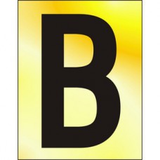 Letter 'B' 50mm Black On Ga (Per EACH)
